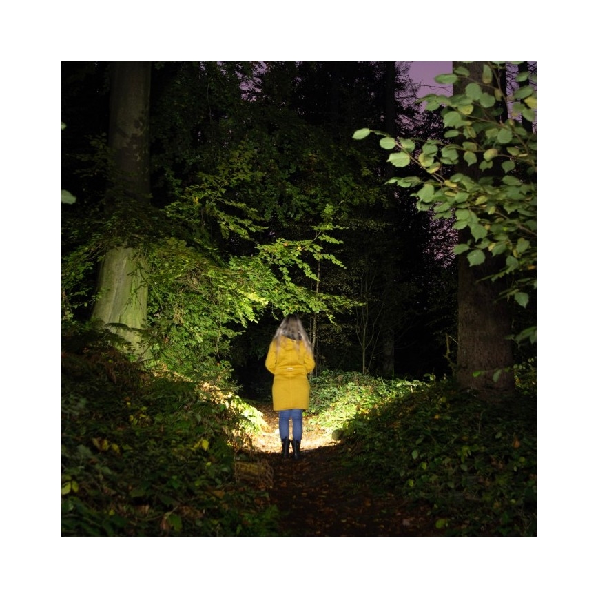 Wiederaufladbare LED-Taschenlampe 2xLED/3W/5V 210 lm 1200 mAh schwarz