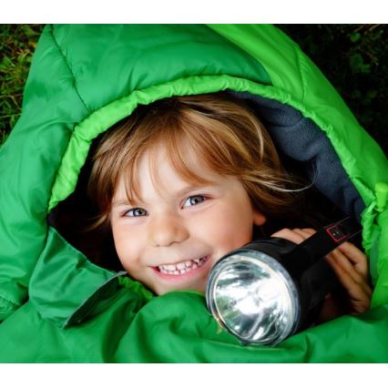 Wiederaufladbare LED-Taschenlampe LED/5V 500 lm 1200 mAh schwarz