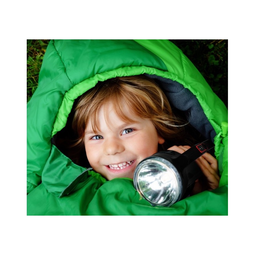 Wiederaufladbare LED-Taschenlampe LED/5V 500 lm 1200 mAh schwarz