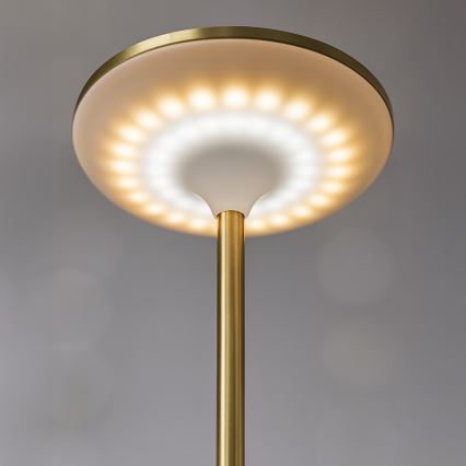 Wiederaufladbare LED-Touch-Schreibtischlampe TAVOLO LED/2,5W/5V 2400 mAh 3000-6000K gold