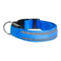 Wiederaufladbares LED-Hundehalsband 40-48 cm 1xCR2032/5V/40 mAh blau