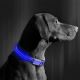 Wiederaufladbares LED-Hundehalsband 40-48 cm 1xCR2032/5V/40 mAh blau
