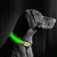 Wiederaufladbares LED-Hundehalsband 40-48 cm 1xCR2032/5V/40 mAh grün