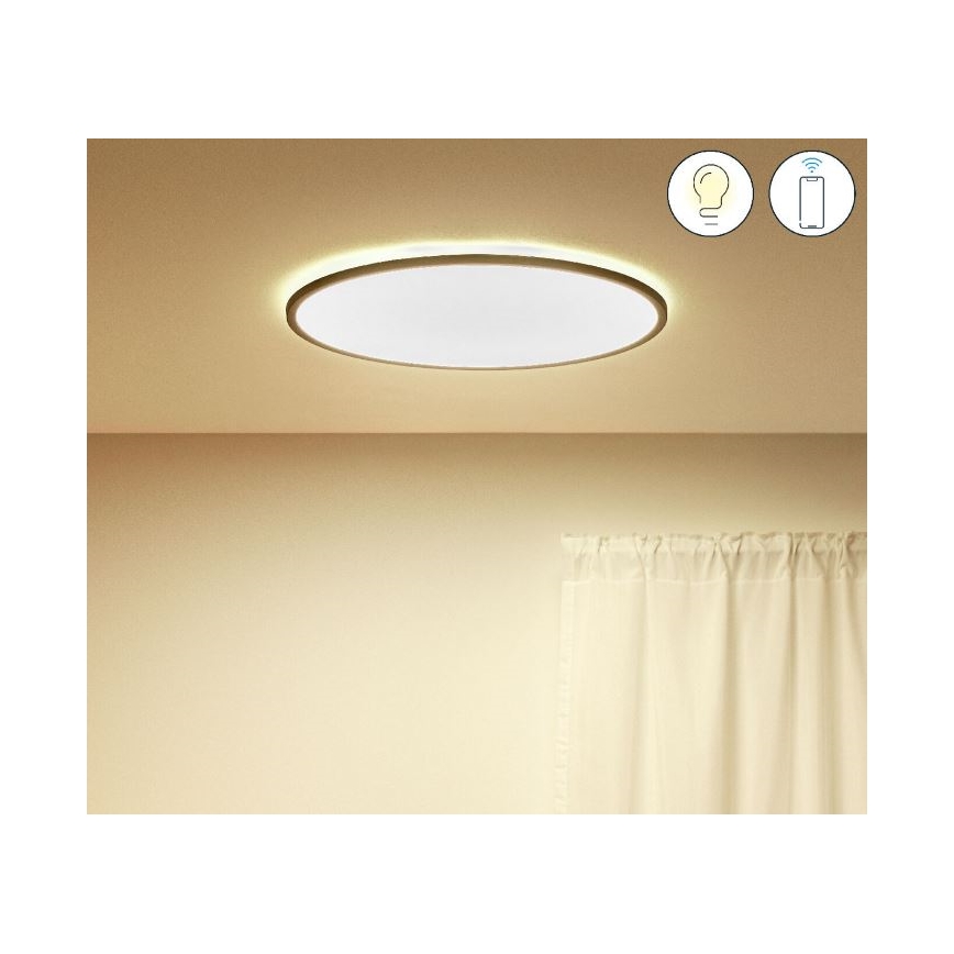 WiZ - Dimmbare LED-Deckenleuchte SUPERSLIM LED/32W/230V 2700-6500K WLAN schwarz