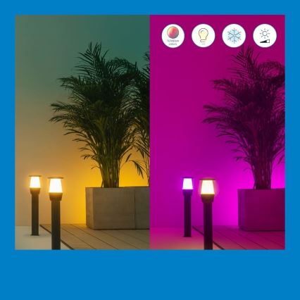 WiZ - LED RGBW dimmbare Außenleuchte ELPAS LED/4,8W/12/230V 2700-5000K IP65 Wi-Fi