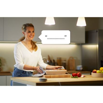 WiZ - Smart-Steckdose F 2300W + Leistungsmesser Wi-Fi SCHUKO