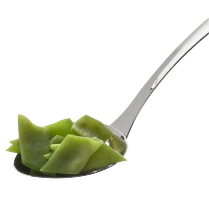 WMF - Servierlöffel PROFI PLUS aus Edelstahl