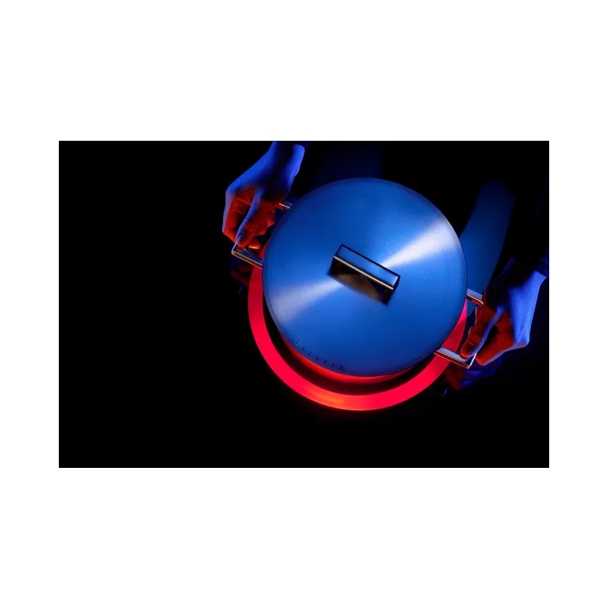 WMF - Topf ULTIMATE COOL Ø 20 cm