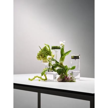 WMF - Wasserkaraffe MOTION 800 ml