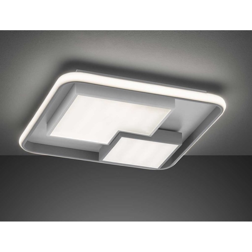 Wofi 11610 - Dimmbare LED-Deckenleuchte FELA LED/40,5W/230V 3000K