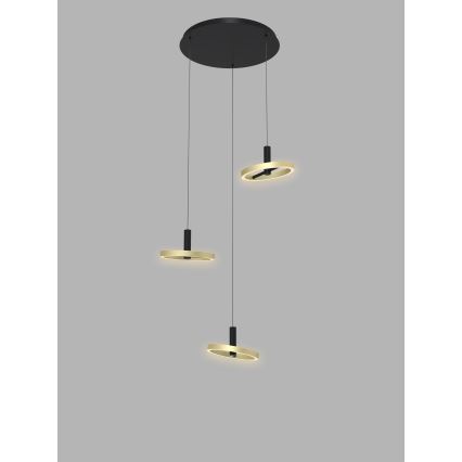 Wofi 5016-304 - Dimmbare LED-Hängeleuchte an Schnur BREST LED/26W/230V schwarz/golden