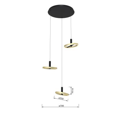 Wofi 5016-304 - Dimmbare LED-Hängeleuchte an Schnur BREST LED/26W/230V schwarz/golden