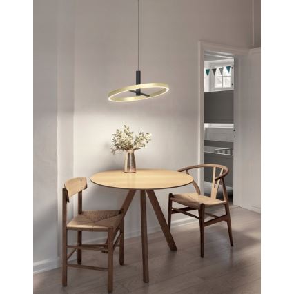 Wofi 6016-104L - LED-dimmbare Pendelleuchte am Seil BREST LED/19W/230V Ø 42 cm schwarz/gold