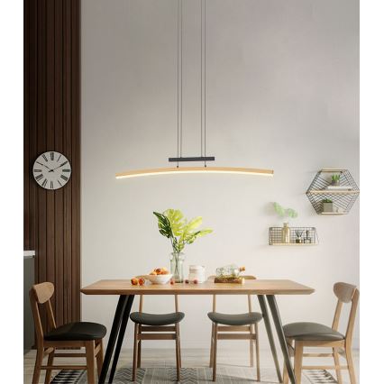 Wofi 7020-106 - LED dimmbare Hängeleuchte an Seil BOLOGNA LED/27W/230V