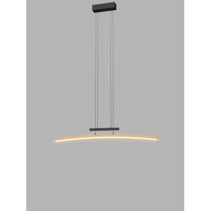 Wofi 7020-106 - LED dimmbare Hängeleuchte an Seil BOLOGNA LED/27W/230V