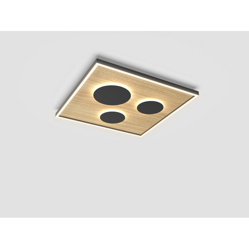 Wofi 9012-306L - Dimmbare LED-Deckenleuchte DIJON LED/40W/230V