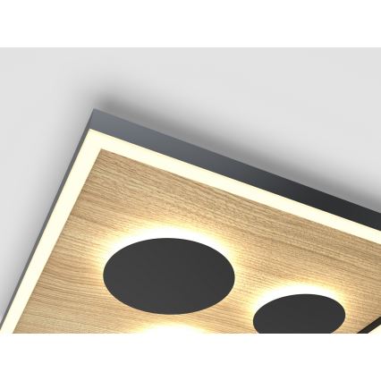 Wofi 9012-306L - LED dimmbare Deckenleuchte DIJON LED/40W/230V