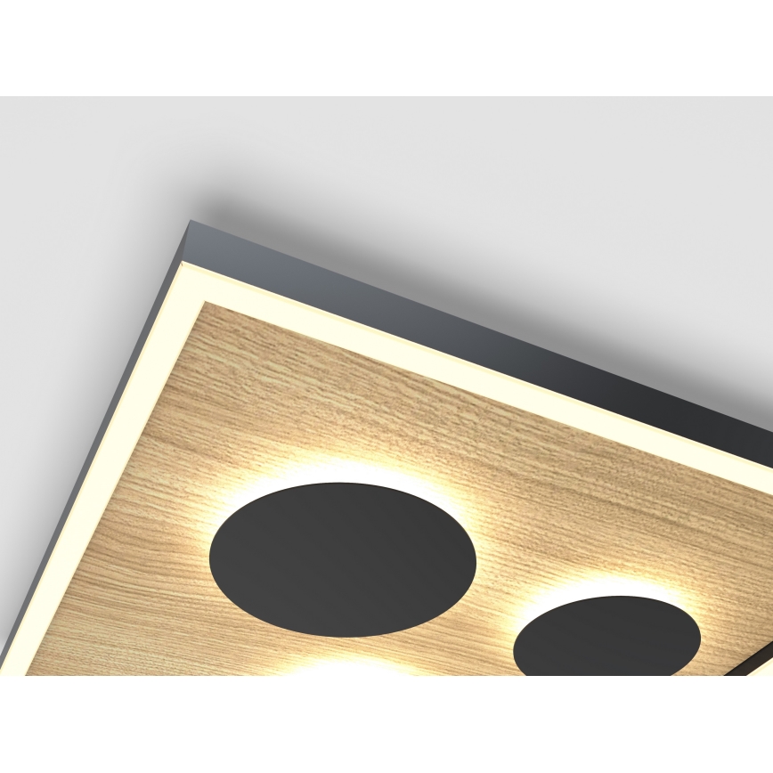 Wofi 9012-306S - LED dimmbare Deckenleuchte DIJON LED/26W/230V