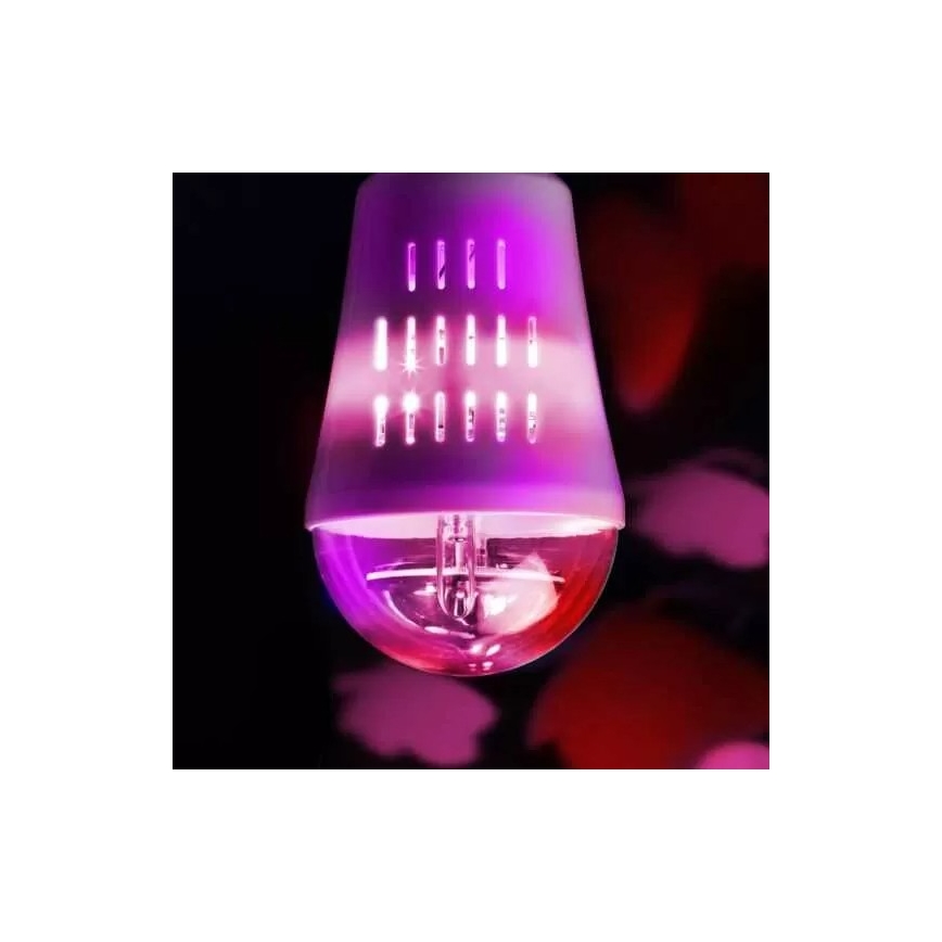 Wofi 9744 – Dekorative LED-Glühbirne BUTTERFLY E27/4W/230V