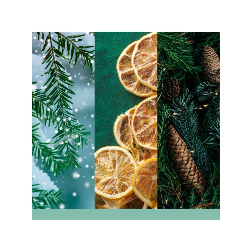 Yankee Candle - Duftkerze HOLIDAY WINTERFEST groß 567g 60-90 Std.