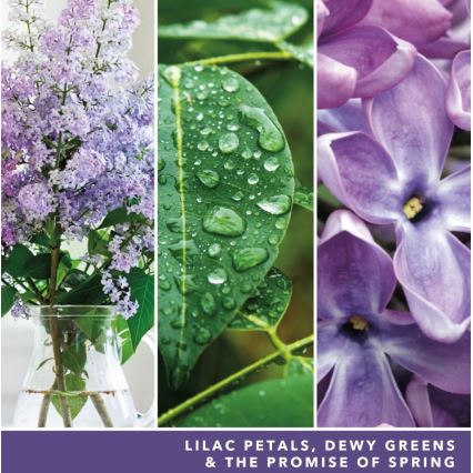 Yankee Candle - Große Duftkerze LILAC BLOSSOMS 567 g 60-90 Std.