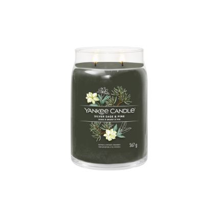 Yankee Candle - Große Duftkerze SILVER SAGE & PINE 567 g 60-90 Std.