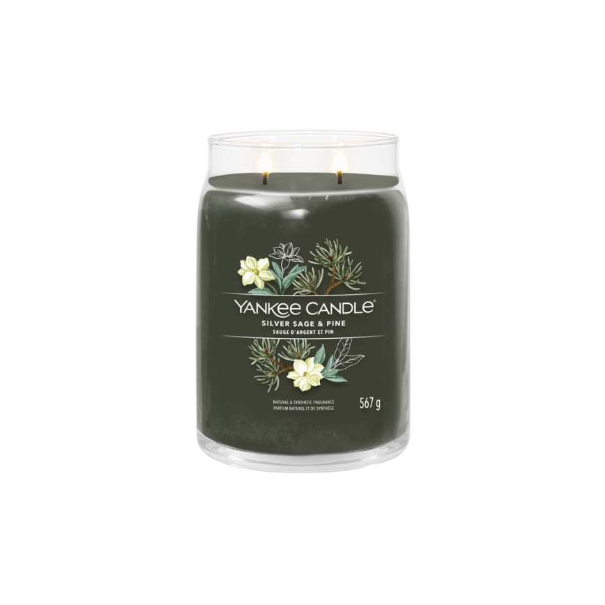 Yankee Candle - Große Duftkerze SILVER SAGE & PINE 567 g 60-90 Std.