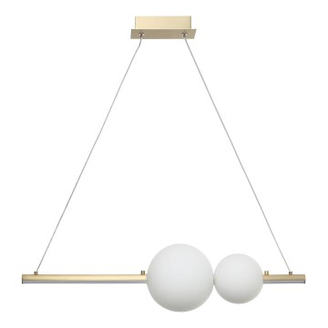 Zambelis 22108 - LED dimmbare Hängeleuchte an Kabel LED/11W/230V gold