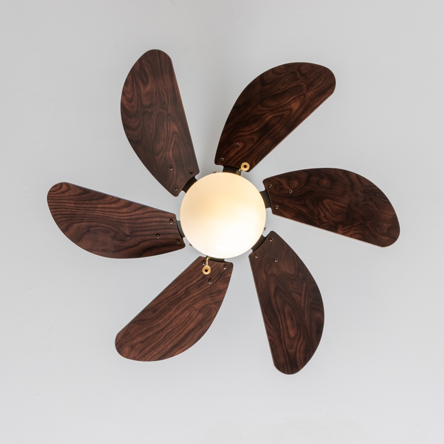 ZEVENTI - Deckenventilator FAMARA 1xE14/60W/230V