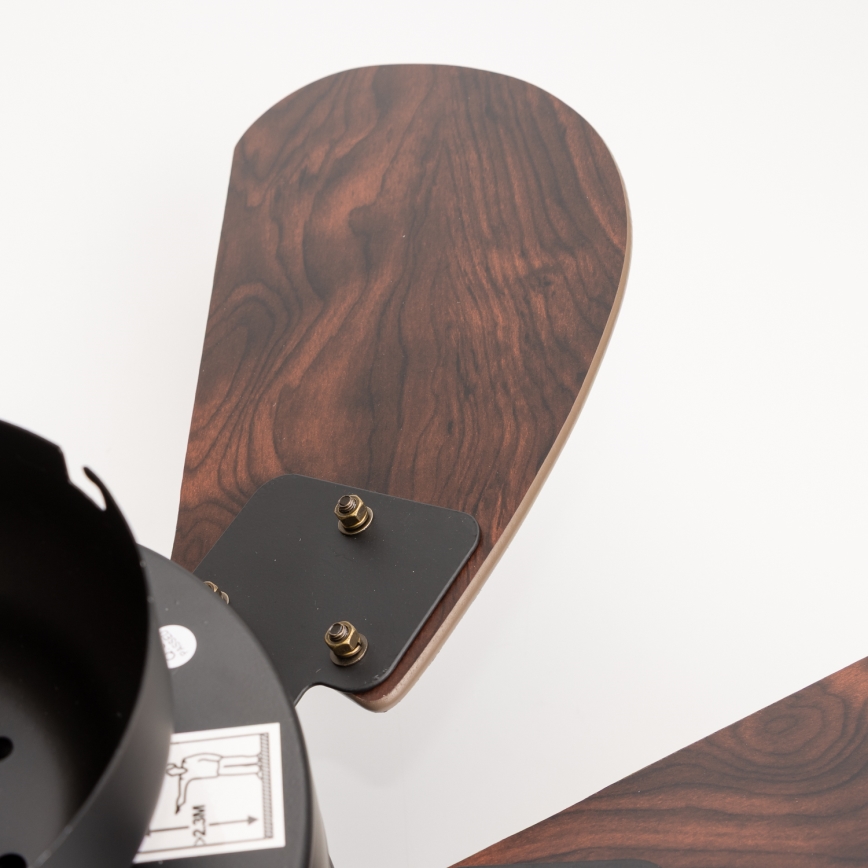 ZEVENTI - Deckenventilator FAMARA 1xE14/60W/230V