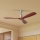 ZEVENTI - Deckenventilator LIONI Wi-Fi Tuya matt Chrom/Eiche + Fernbedienung
