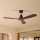 ZEVENTI - Deckenventilator LIONI Wi-Fi Tuya schwarz/Eiche + Fernbedienung