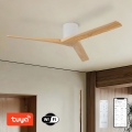 ZEVENTI - Deckenventilator VELLON Wi-Fi Tuya weiß/Paulownia + Fernbedienung
