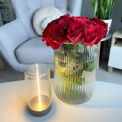 Zuma Line - LED dimmbare wiederaufladbare Tischlampe LED/0,5W/230V schwarz IP54