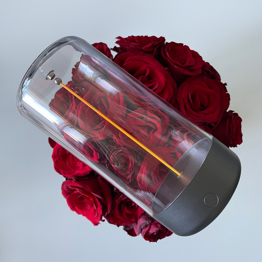 Zuma Line - LED dimmbare wiederaufladbare Tischlampe LED/0,5W/230V schwarz IP54