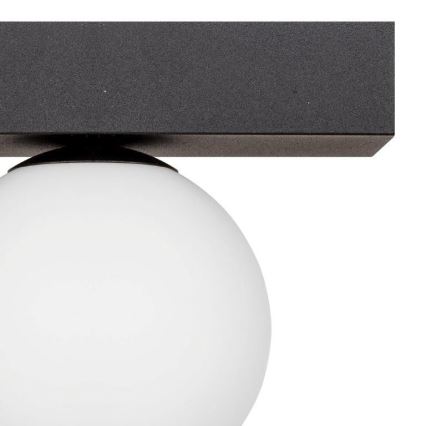 Zuma Line - Deckenleuchte 1xG9/8W/230V schwarz