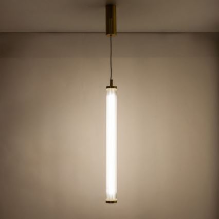 Zuma Line - LED-dimmbare Seil-Hängeleuchte LED/26W/230V 2700-6500K goldfarben + Fernbedienung