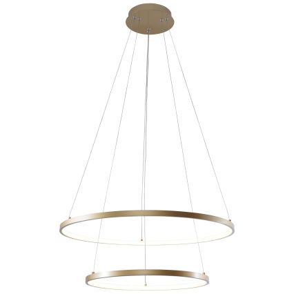 Zuma Line - LED-Hängeleuchte an Schnur LED/50W/230V 3000/4000/6000K d 60 cm golden