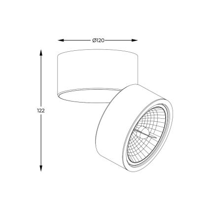 Zuma Line - Deckenspot 1xGU10-ES111/15W/230V weiß