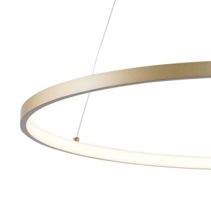 Zuma Line - LED-Hängeleuchte an Schnur LED/28W/230V 3000/4000/6000K d 60 cm golden
