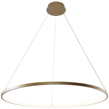 Zuma Line - LED-Hängeleuchte an Schnur LED/36W/230V 3000/4000/6000K d 80 cm golden