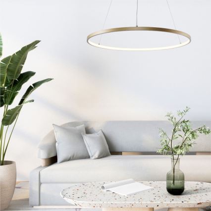 Zuma Line - LED-Hängeleuchte an Schnur LED/36W/230V 3000/4000/6000K d 80 cm golden