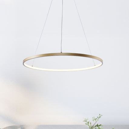 Zuma Line - LED Kronleuchter an Kabel LED/36W/230V 3000/4000/6000K Ø 80 cm gold