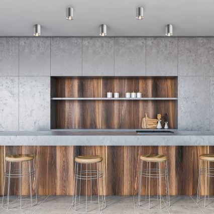 Zuma Line - Einbauleuchte 1xGU10/50W/230V mattchrom