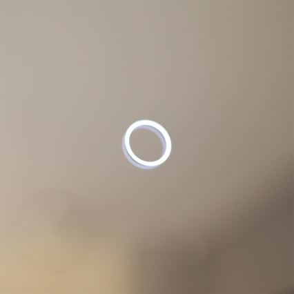 Zuma Line - LED-Badezimmer-Wandspiegel mit LED-Hintergrundbeleuchtung/24W/230V 3000/4000/6000K Ø 60 cm IP44