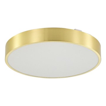 Zuma Line - Dimmbare LED-Deckenleuchte für Badezimmer LED/50W/230V 3000-6000K d 50 cm IP44 golden + Fernbedienung