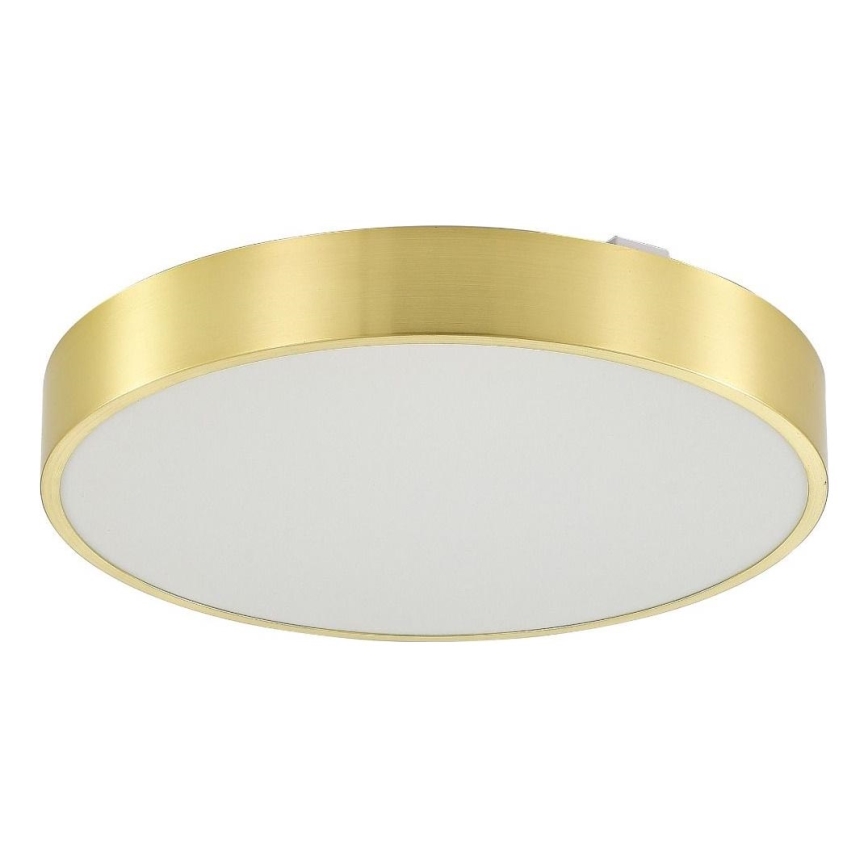 Zuma Line - Dimmbare LED-Deckenleuchte für Badezimmer LED/50W/230V 3000-6000K d 50 cm IP44 golden + Fernbedienung