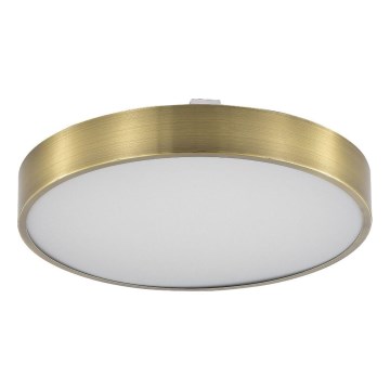 Zuma Line - Dimmbare LED-Deckenleuchte für Badezimmer LED/50W/230V 3000-6000K d 50 cm IP44 Messing + Fernbedienung