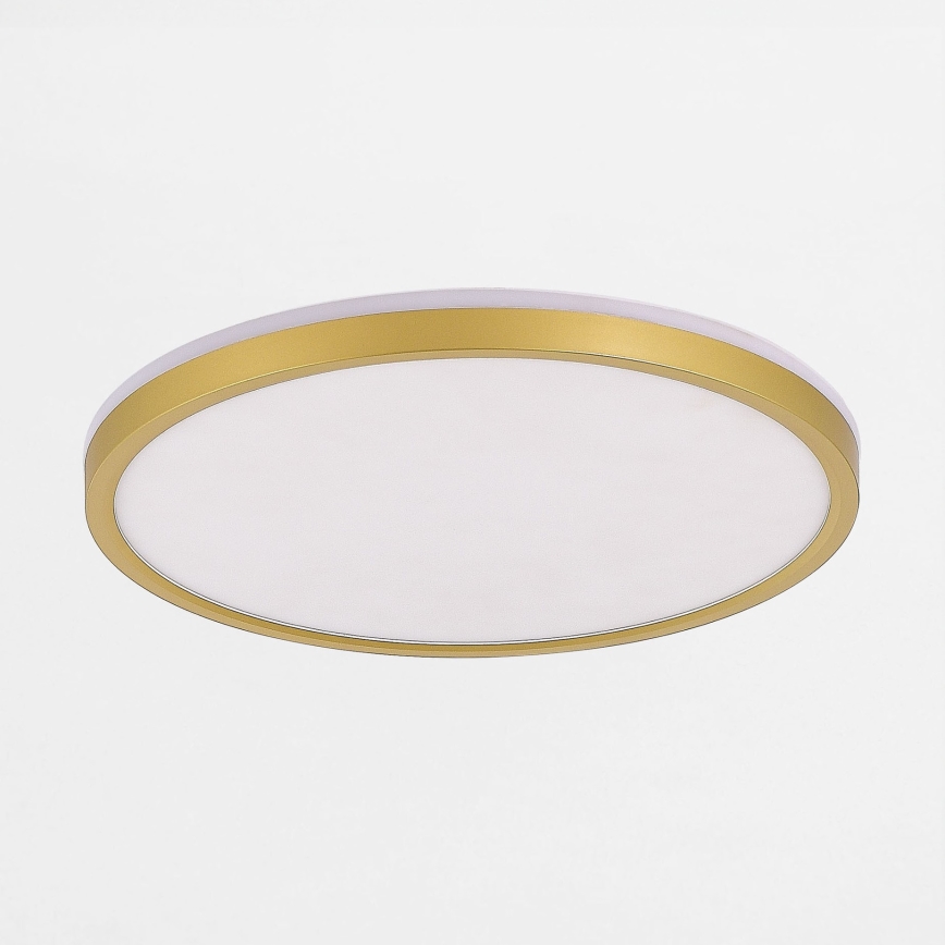 Zuma Line - Dimmbare LED-Deckenleuchte LED/26,5W/230V + LED/6,5W 3000/4000/5500K d 32 cm golden