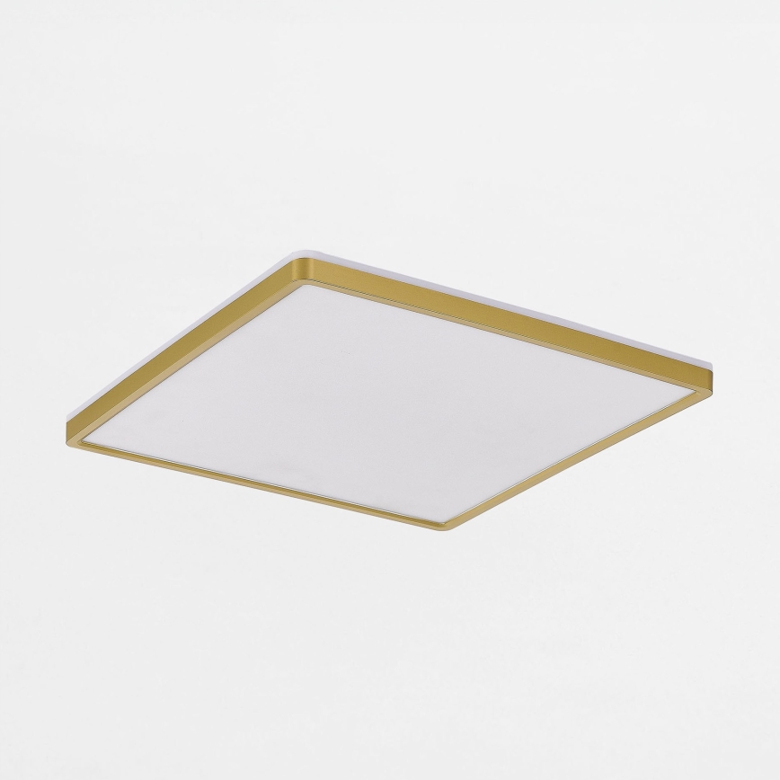 Zuma Line - Dimmbare LED-Deckenleuchte LED/38W/230V + LED/12W 3000/4000/5500K 40x40 cm golden